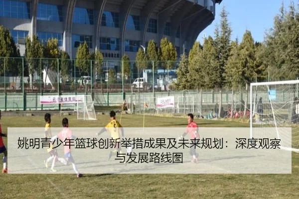 姚明青少年篮球创新举措成果及未来规划：深度观察与发展路线图